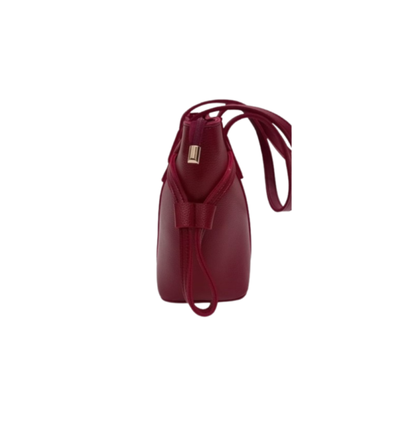 Pewter Maroon Handbag